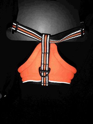 毛皮 の 仲間 の ペット に 必要な 安全 服