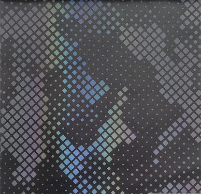 色々な不規則ブロックカモフラージュ 50D メカニカル弾丸布